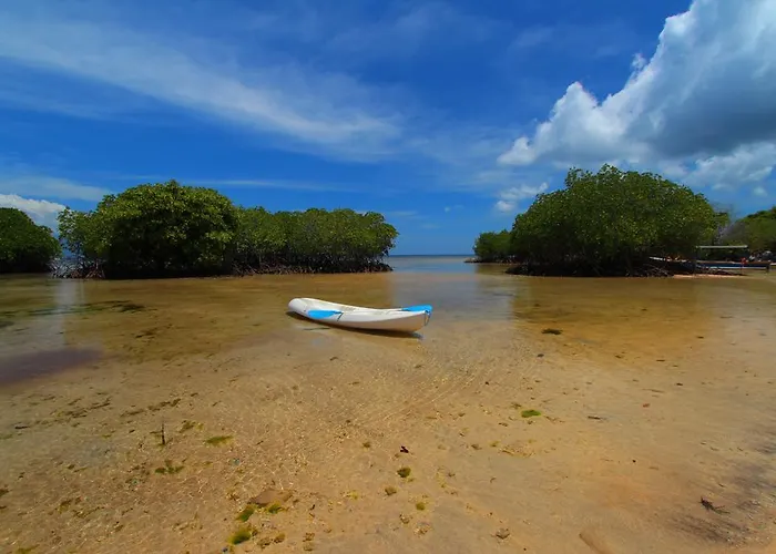 Mangrove Paradise Retreat