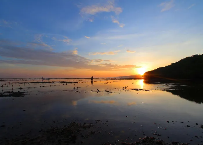 Mangrove Paradise Retreat ホリデーパーク レンボンガン島