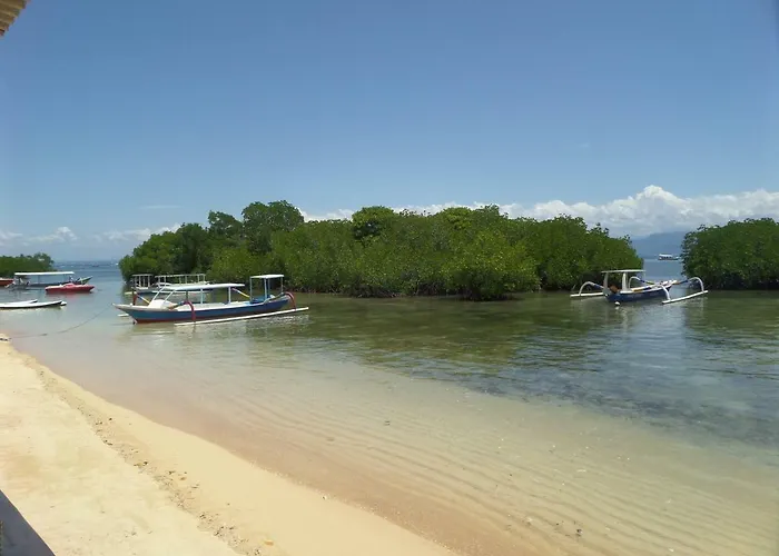Mangrove Paradise Retreat 4* レンボンガン島