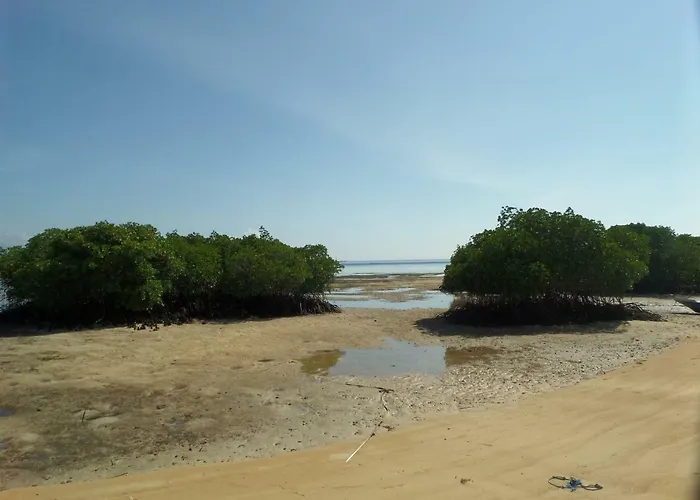 Mangrove Paradise Retreat 4*